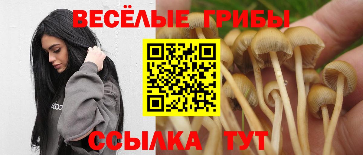 Среднеуральск  Псилоцибиновые грибы Magic Shrooms  Вход с VPN  Галлюциногенные грибы Psilocybe 