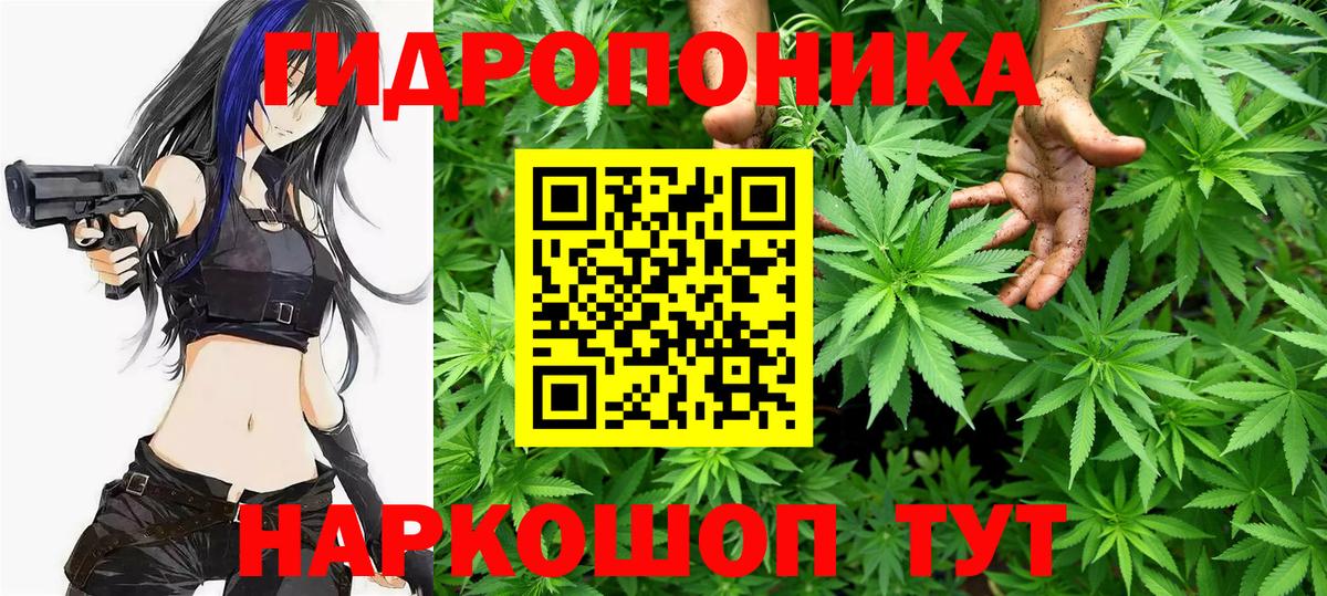 Шишки марихуана гибрид  Бошки Шишки семена  Марихуана марихуана  Вход с VPN  Среднеуральск 